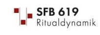 logo of the SFB 619
